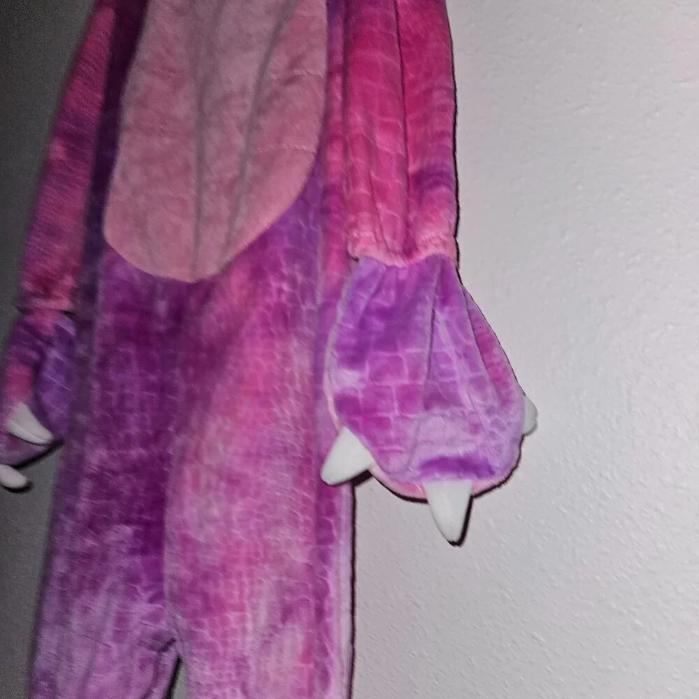 Spirit pink purple
